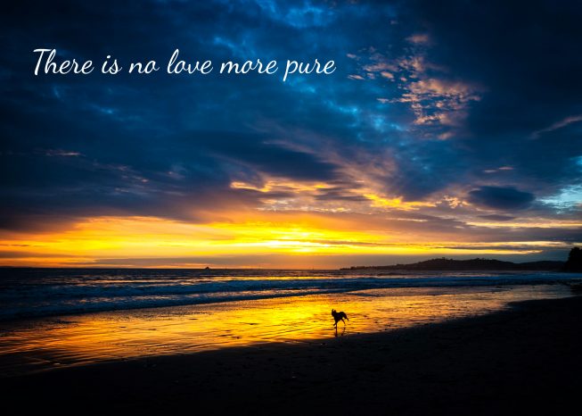 Butterfly Beach Sympathy Card-No Love More Pure