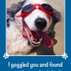 I Goggled You - Birthday Card - Australian Shepherd