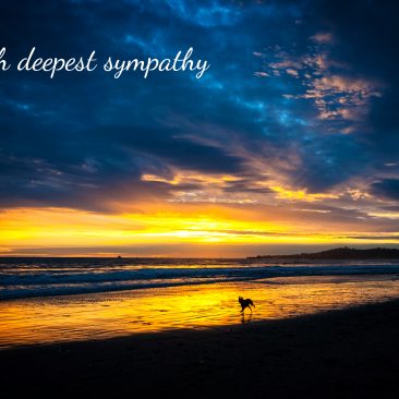 Butterfly Beach Sunset-With Deepest Sympathy Card
