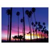 Palm Tree Sunset Notecard by Santa Barbara Greeting Cards